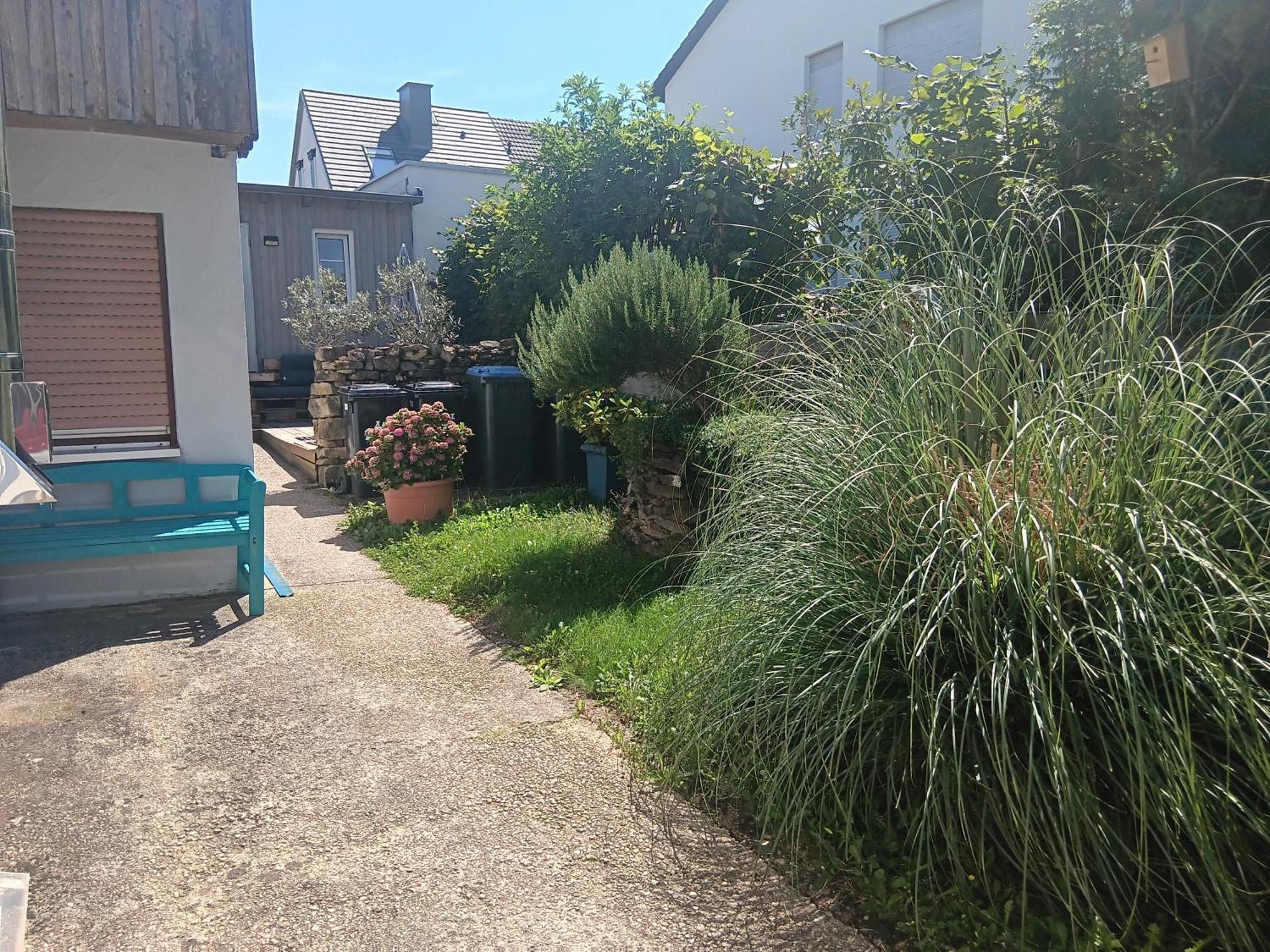 Ferienwohnung Mattheiser Weiher Trier Dış mekan fotoğraf
