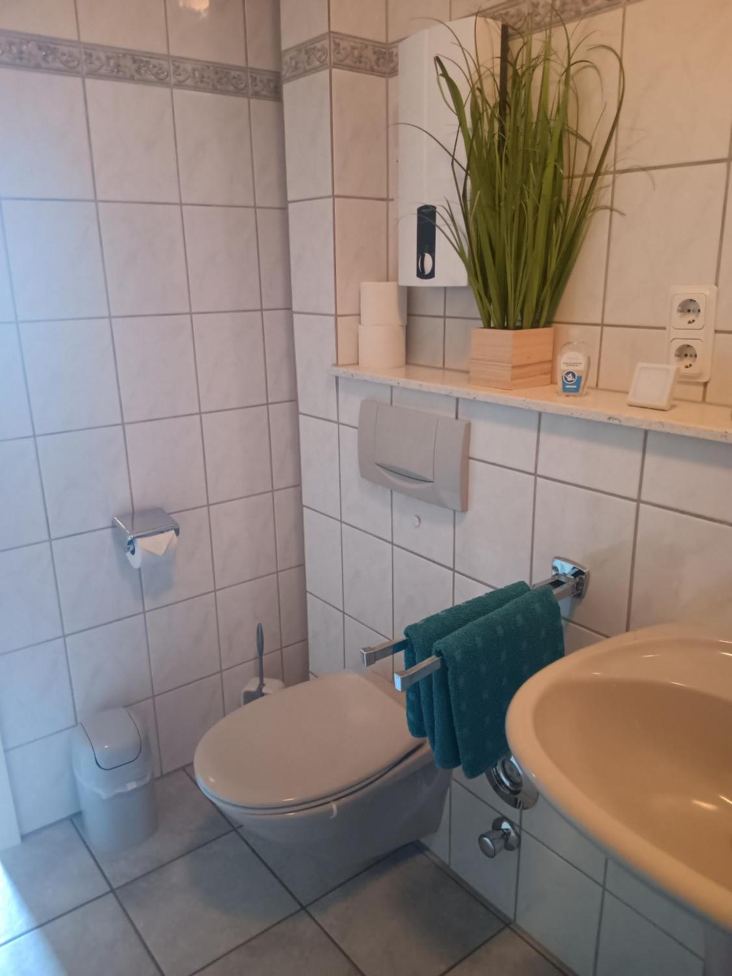 Ferienwohnung Mattheiser Weiher Trier Dış mekan fotoğraf